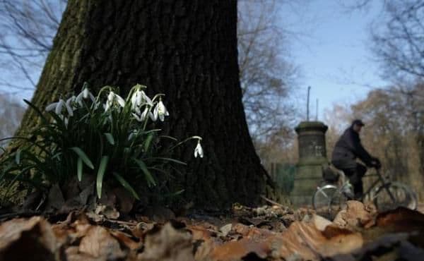 Anunţ neaşteptat de la meteorologi. Vor fi temperaturi de 23 de grade