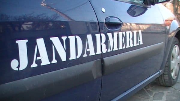 Trei copii, două raţe şi un echipaj de jandarmi