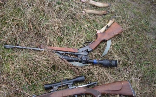 Doi bărbaţi bănuiţi de infracţiuni la regimul armelor, identificaţi de poliţişti, după ce au împușcat mai mulți câini