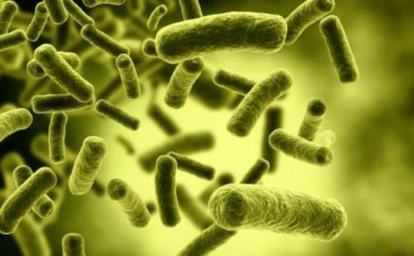 Cum te poți infecta cu bacteria E.Coli. Lista produselor de care să te ferești