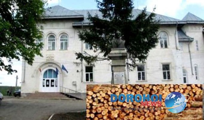 Liceul Teoretic „Anastasie Bașotă” Pomîrla organizează licitație pentru vînzare masă lemnoasă fasonată