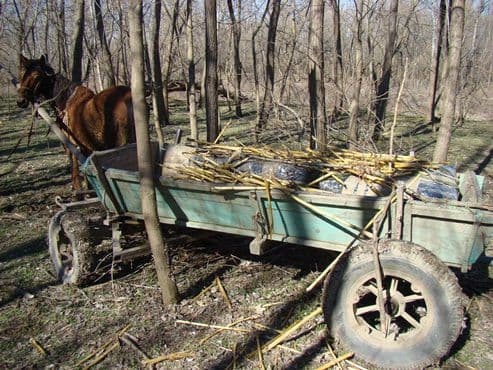 Captură record de ţigări la frontiera de Est - Peste 60.000 pachete de ţigări de contrabandă confiscate - FOTO