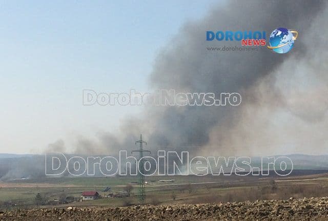 Aproximativ 70 de hectare distruse într-un incendiu! Pompierii dorohoieni s-au luptat nouă ore cu flăcările! - FOTO