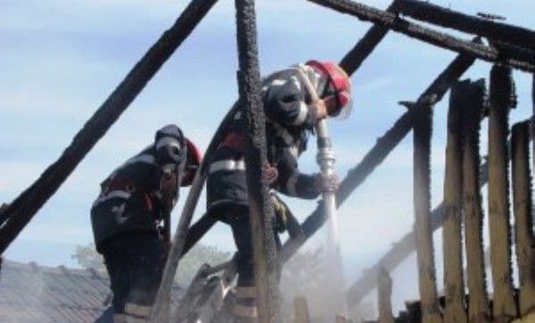 Rămaşi fără hrană şi adăposturile pentru animale în urma unor incendii