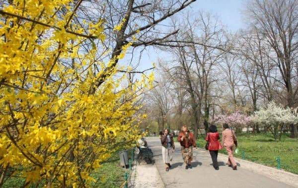 ANM: Temperaturile urcă la 24 grade Celsius până pe 1 aprilie, pe arii restrânse, ploi slabe cantitativ