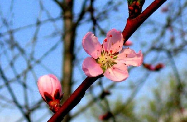Veşti bune de la meteorologi. Temperaturi de până la 25 de grade Celsius