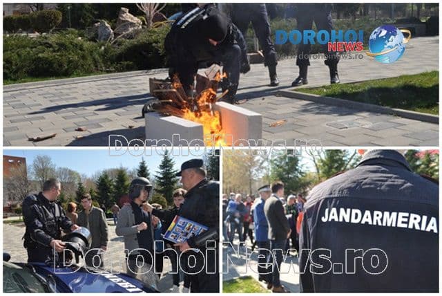 Ziua Jandarmeriei Române 2016: Spectacol oferit de jandarmi în Parcul Cholet din Dorohoi – VIDEO/FOTO