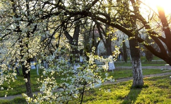 Parcă suntem în mijlocul verii - se anunță deja 32 de grade Celsius