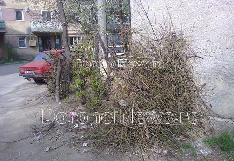 Primim la redacție – Vreascuri și gunoi la întâmplare în Cartierul Plevna din Dorohoi - FOTO