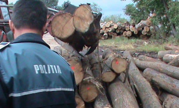 Peste 5 mc de material lemnos confiscat de polițiști