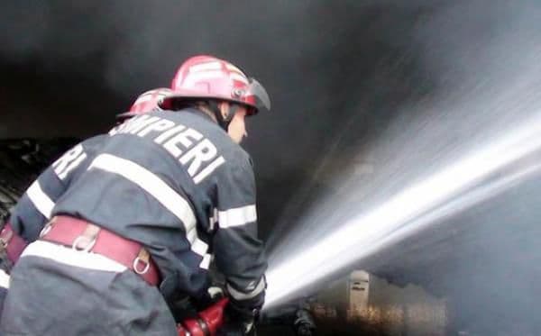 Adăpost de animale incendiat din joacă!
