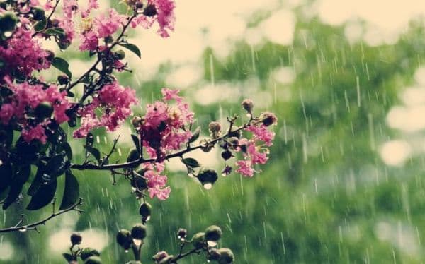 Informare meteo de ploi în toată ţara: vremea se răceşte. Lapoviţă şi ninsori la munte