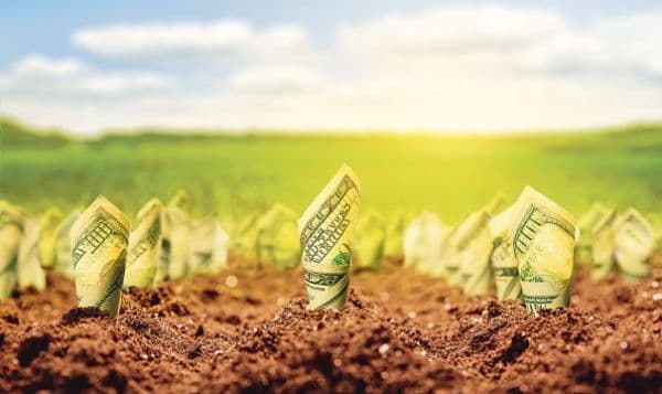 Fonduri europene pentru agricultură. Câţi bani se dau şi unde se depun cererile