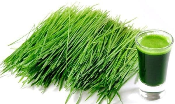 Beneficiile curei cu extract de orz verde