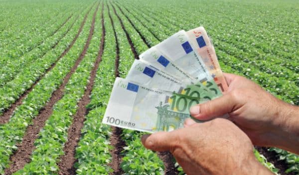 S-a înfiinţat azi o nouă funcţie în România: ataşatul agricol. Ce este şi ce salariu primeşte