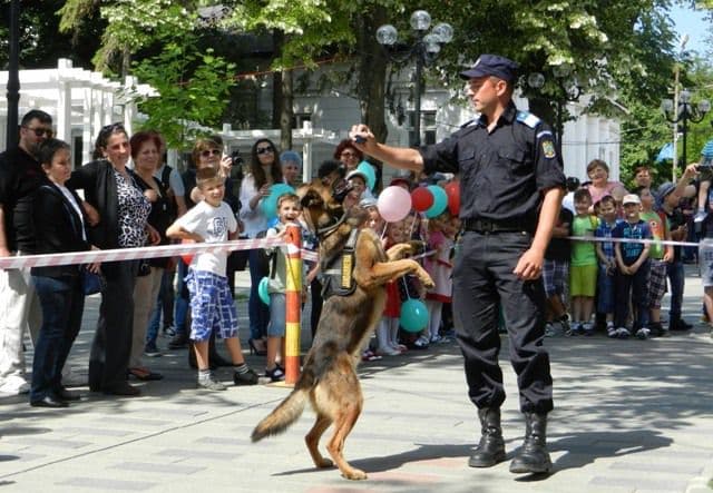 Mulţi copii, câţiva jandarmi şi câinii de serviciu Tih şi Micag pe pietonalul „Grigore Ghica” din Dorohoi - FOTO