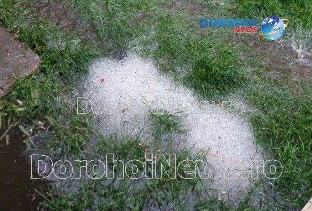 Grindina a făcut pagube la Pomârla: Culturi distruse și gpspodării inundate - FOTO