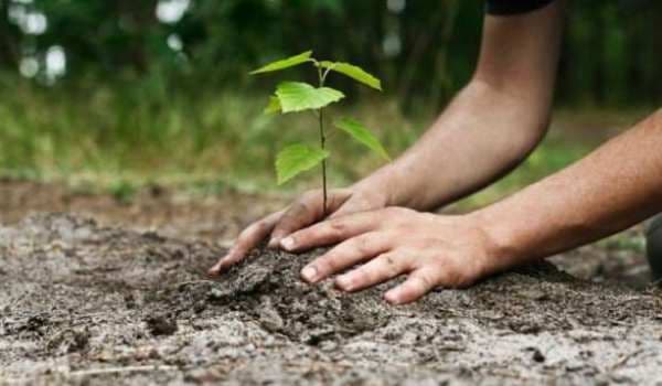 Primaria municipiului Dorohoi informează că au fost finalizate lucrările de proiectare a împăduririi terenurilor degradate