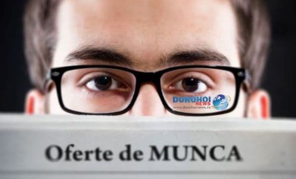 Află ce locuri de muncă sunt la dispoziţia şomerilor din judeţul Botoşani, în această săptămână!