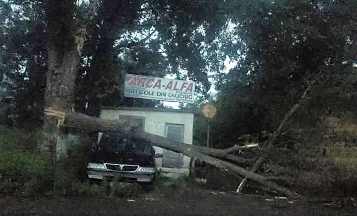 Ravagii făcute de furtună în Județul Botoșani. Case și curți inundate, mașini rămase în trafic la Dorohoi, copaci rupți