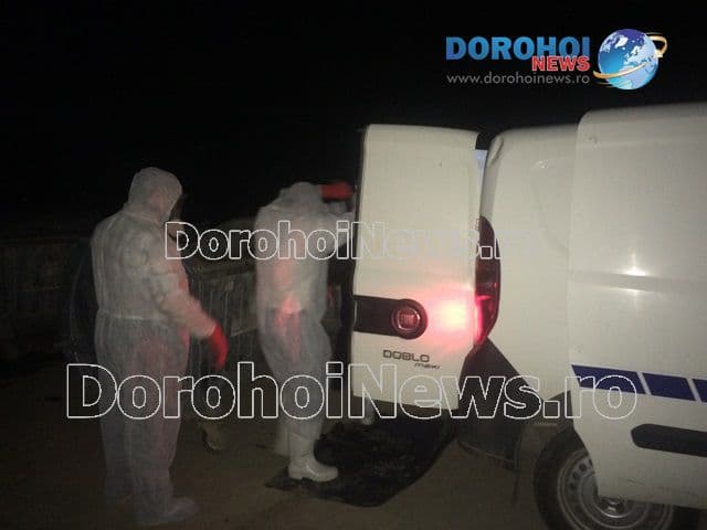 Descoperire macabră într-un buncăr de gunoi din Dorohoi. Autoritățile locale și județene puse în alertă! - FOTO