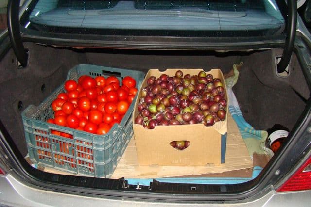 Aproximativ 8.000 de ţigarete disimulate în lădiţele cu fructe, depistate la vamă - FOTO