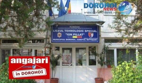 Liceul Tehnologic Special „Ion Pilat” Dorohoi angajează șofer! Vezi condițiile!