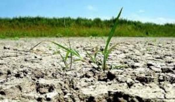 Prefectul Dan Nechifor recomandă producătorilor afectaţi de condiţiile meteo să solicite facilităţile fiscale prevăzute de lege