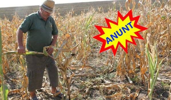 ANUNȚ important pentru deținători de terenuri agricole din Dorohoi!