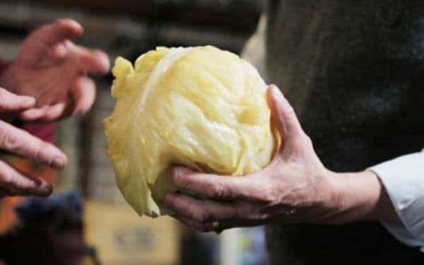 Legătura incredibilă dintre varza murată şi cancer. Nu s-a ştiut asta până acum