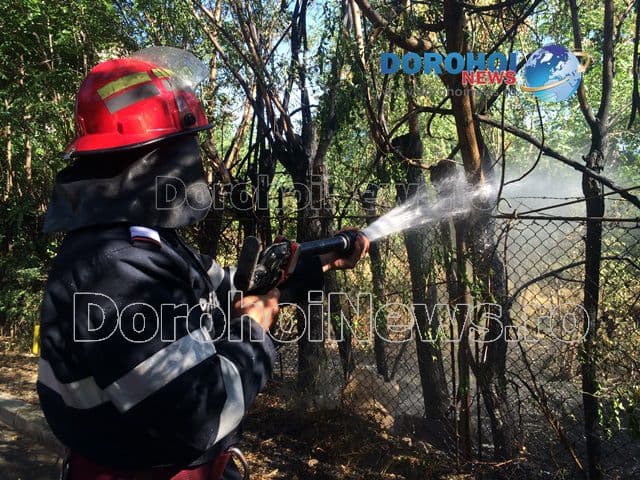 Incendiu izbucnit pe Aleea Victoriei din Dorohoi. Joaca unor copii a pus autoritățile în alertă - FOTO