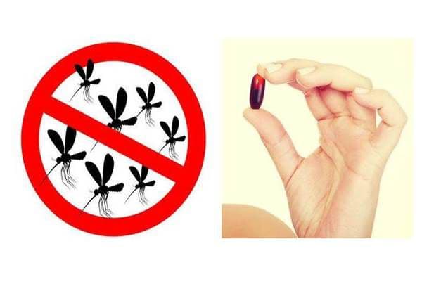 Asta este vitamina care te scapă de țânțari! Se ia zilnic!