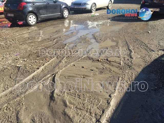 Avarie la conducta de apă pe Aleea Narciselor din Dorohoi. Vezi ce zone sunt afectate! - FOTO