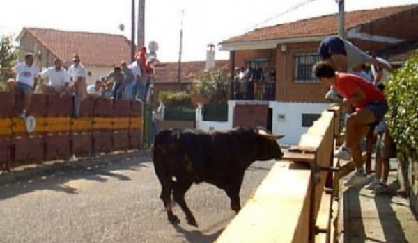 O fetiţă româncă a fost rănită grav de un taur scăpat de sub control