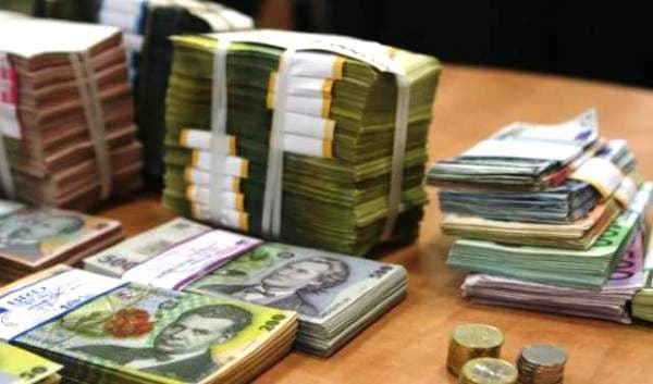 Societate din județul Botoșani cercetată pentru evaziune fiscală cu material lemnos