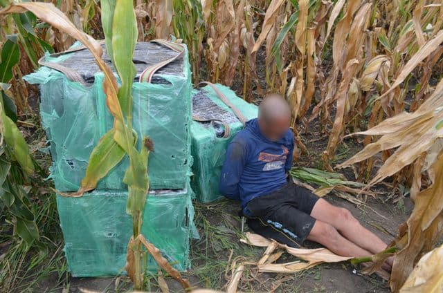 Contrabandist moldovean depistat într-un lan de porumb de poliţiştii de frontieră - FOTO