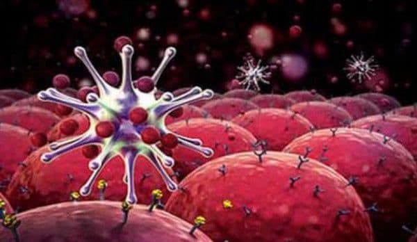 Dacă acest parazit este distrus, evoluția cancerului se va opri imediat