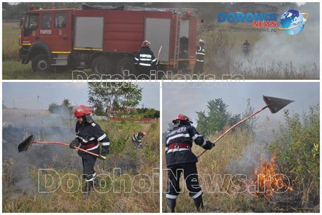 Incendiu izbucnit în apropierea unui depozit de lemne din Dealu Mare. Pompierii dorohoieni au evitat un dezastru - FOTO