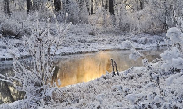 Precipitaţii abundente şi ninsori în decembrie. Prognoza meteo pe trei luni