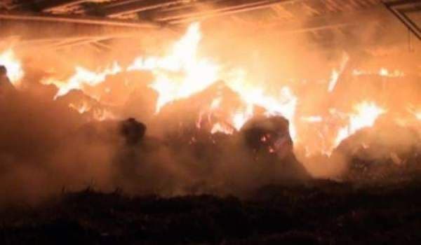 30 de tone de furaje distruse într-un incendiu, la Dimăcheni