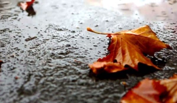 Avertizare METEO. Vremea se înrăutățește. Va ploua în toată țara, la munte va ninge