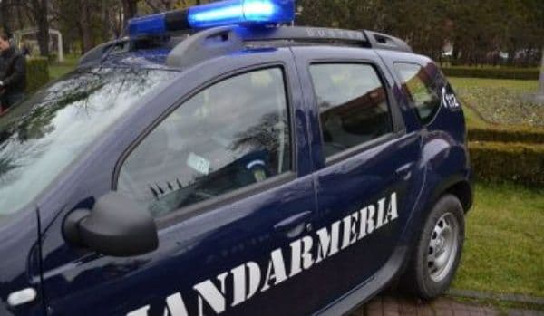 Amenzi de 7000 de lei pentru încălcarea legislaţiei silvice