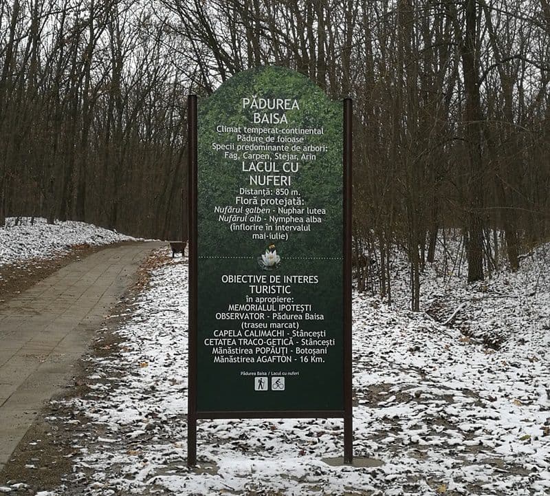 Lucrările de reabilitare a Lacului cu Nuferi au fost finalizate - FOTO