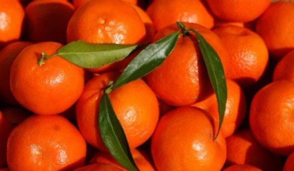 Secretul clementinelor din supermarketuri. Ce sunt de fapt!