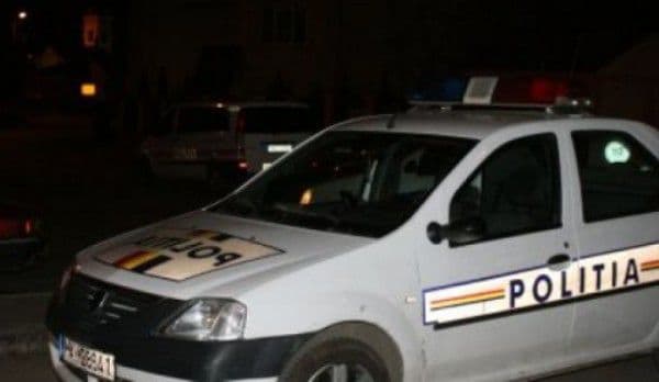 Deși nu avea permis de conducere a plecat la plimbare cu mașina și s-a oprit în gardul unui consătean