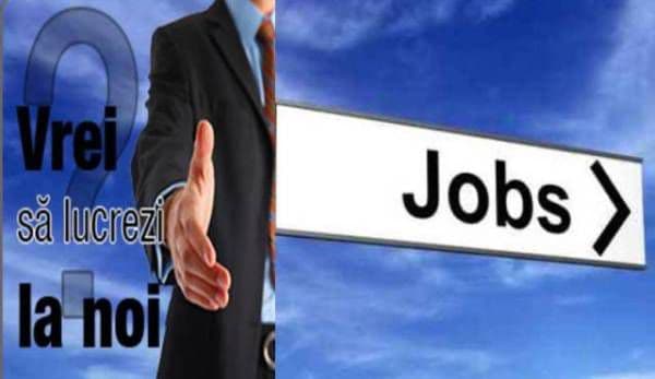 Primăria Ibănești angajează inspector superior – birou cadastru. Vezi detalii!