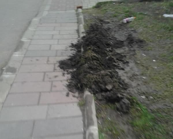 Dorohoi