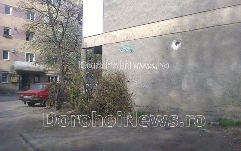 Dorohoi Cartierul Plevna_03