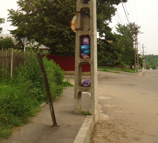 gunoi