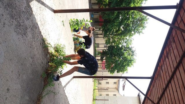 activitati in Botosani si Agafton 09